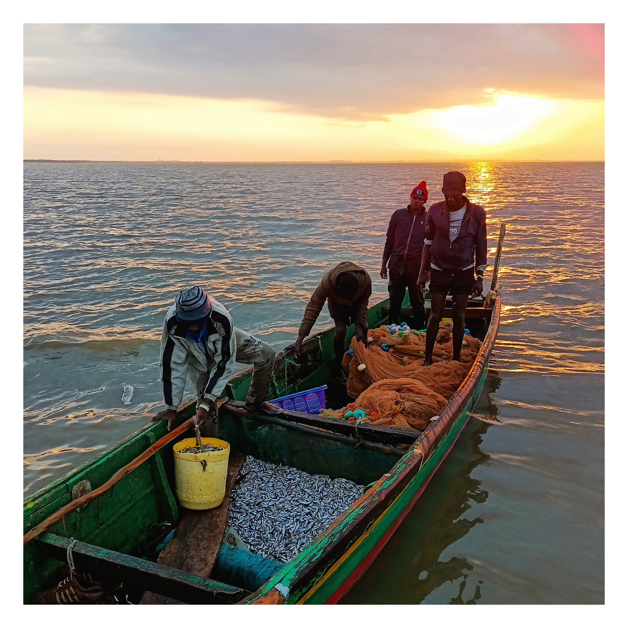 The Morning Catch